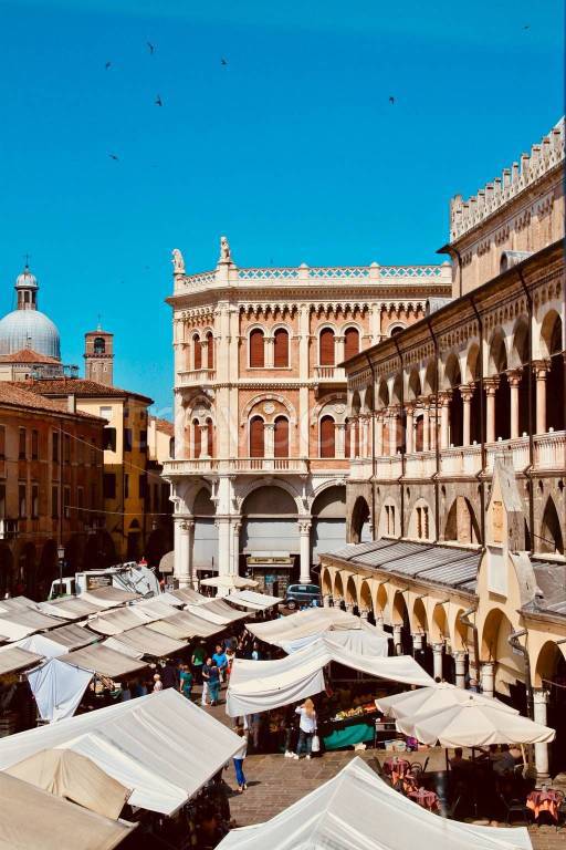 appartamento in affitto a Padova in zona Centro Storico