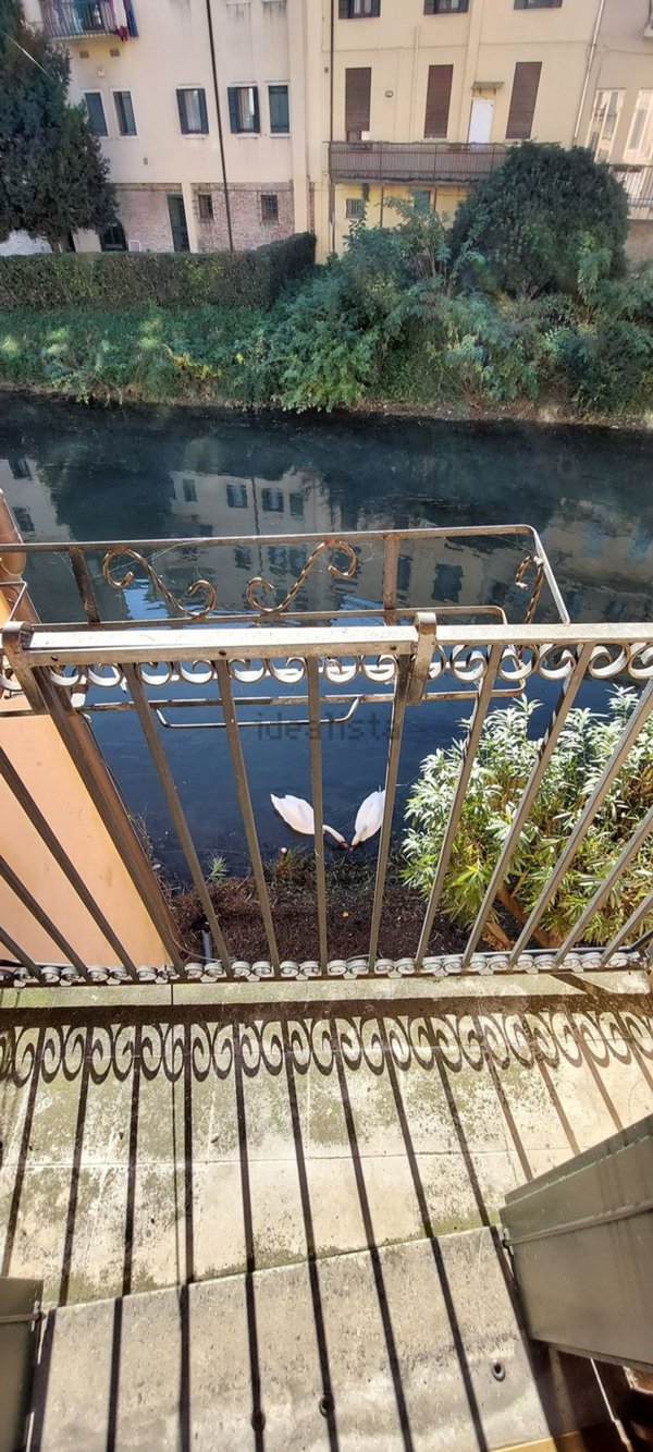 appartamento in affitto a Padova in zona Savonarola