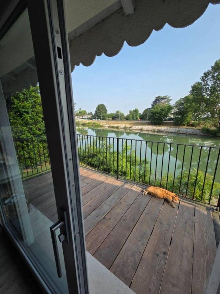 casa indipendente in affitto a Padova in zona Armistizio