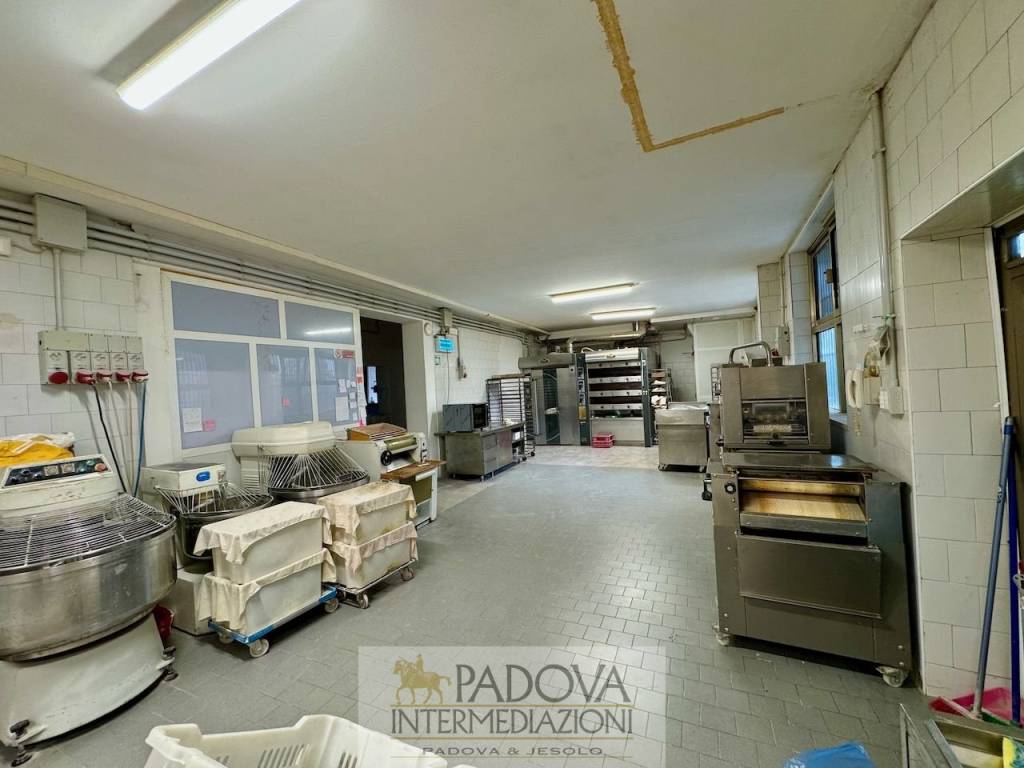 locale commerciale in affitto a Padova in zona Santa Croce