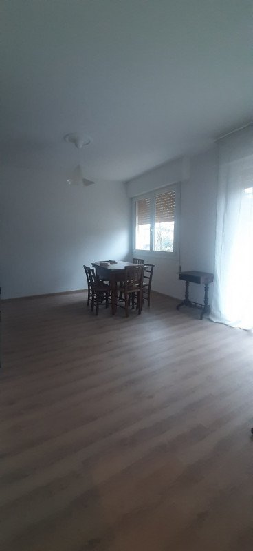 appartamento in affitto a Padova in zona Madonna Pellegrina