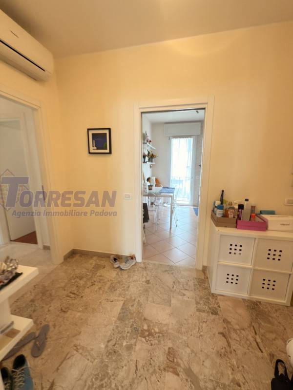 appartamento in affitto a Padova