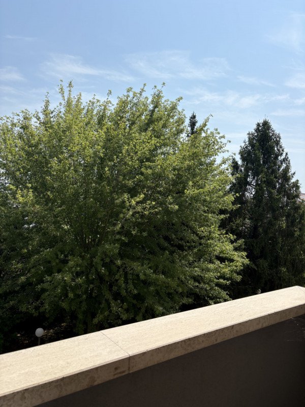 appartamento in affitto a Padova in zona Forcellini / Terranegra