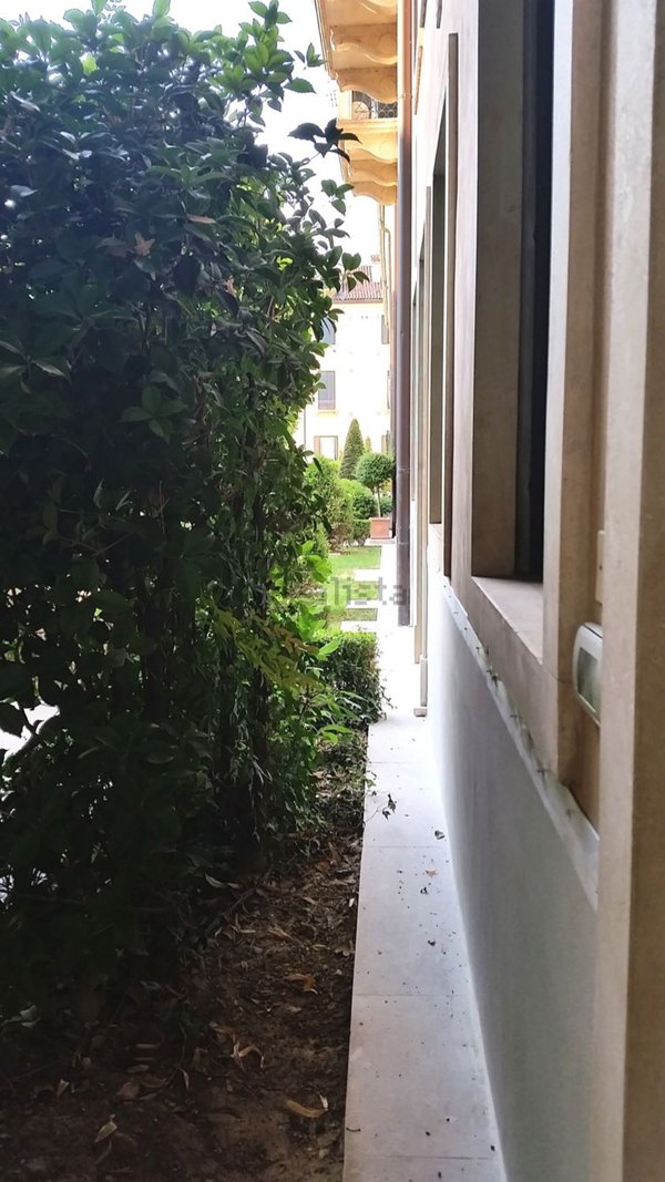 appartamento in affitto a Padova