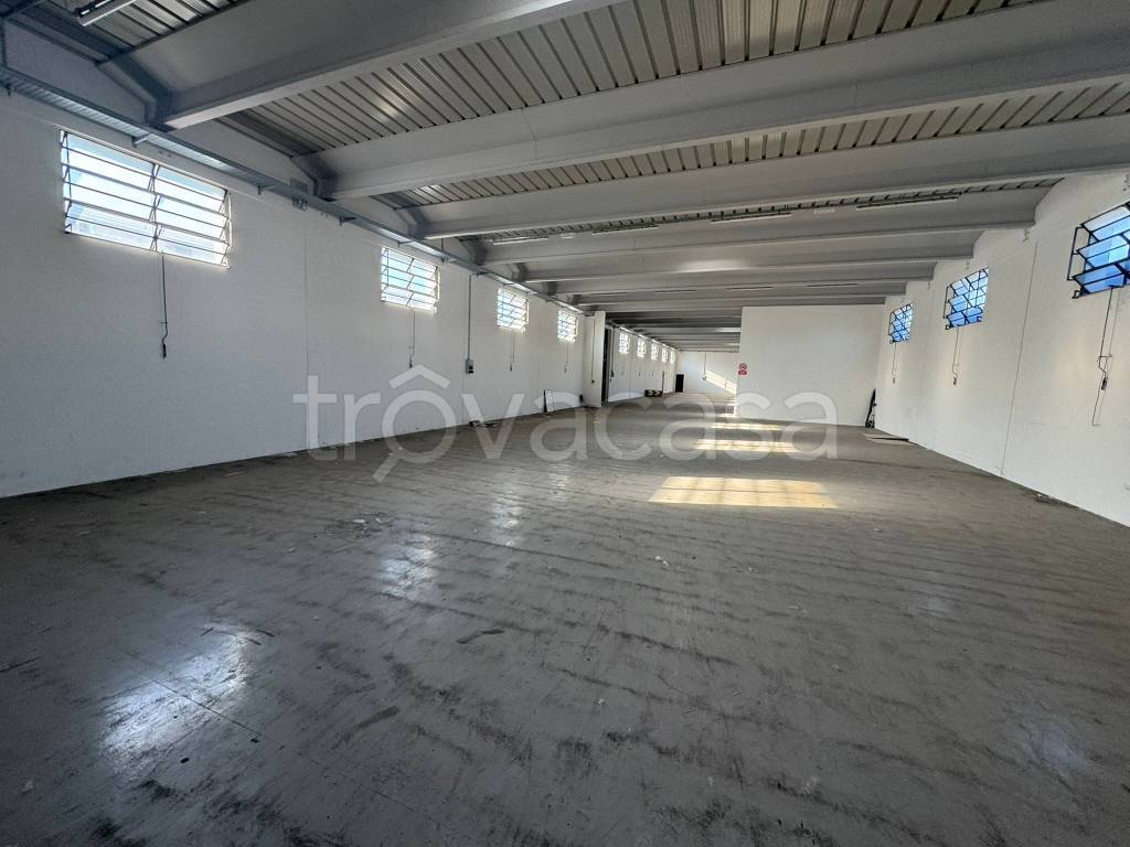 locale commerciale in affitto a Padova in zona Pio X