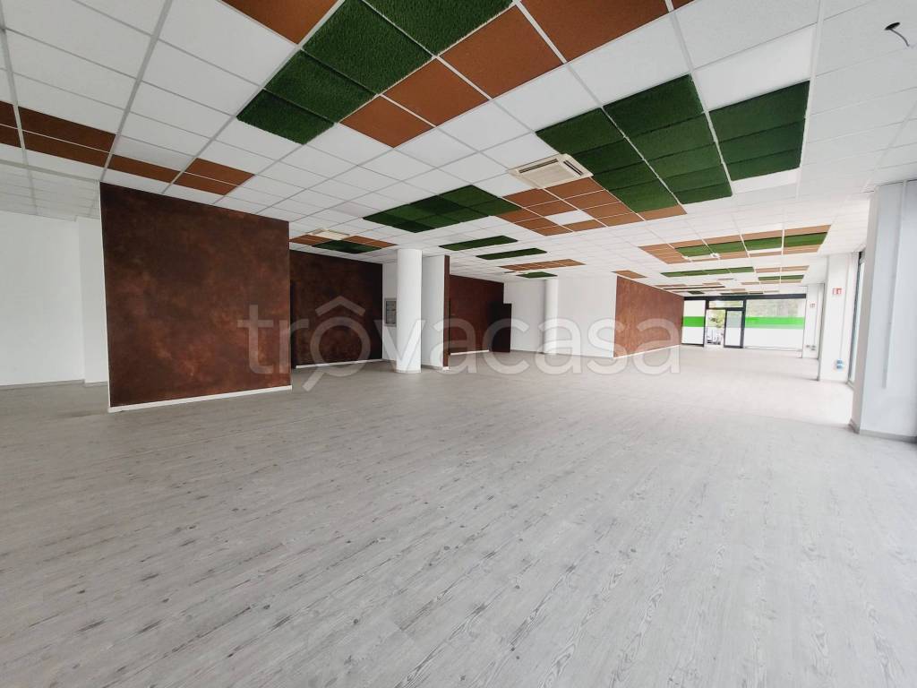 negozio in affitto a Padova in zona Stanga