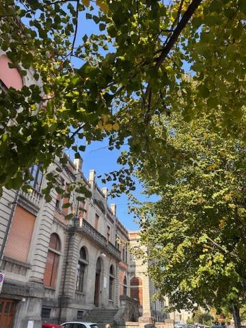 negozio in affitto a Padova in zona Savonarola