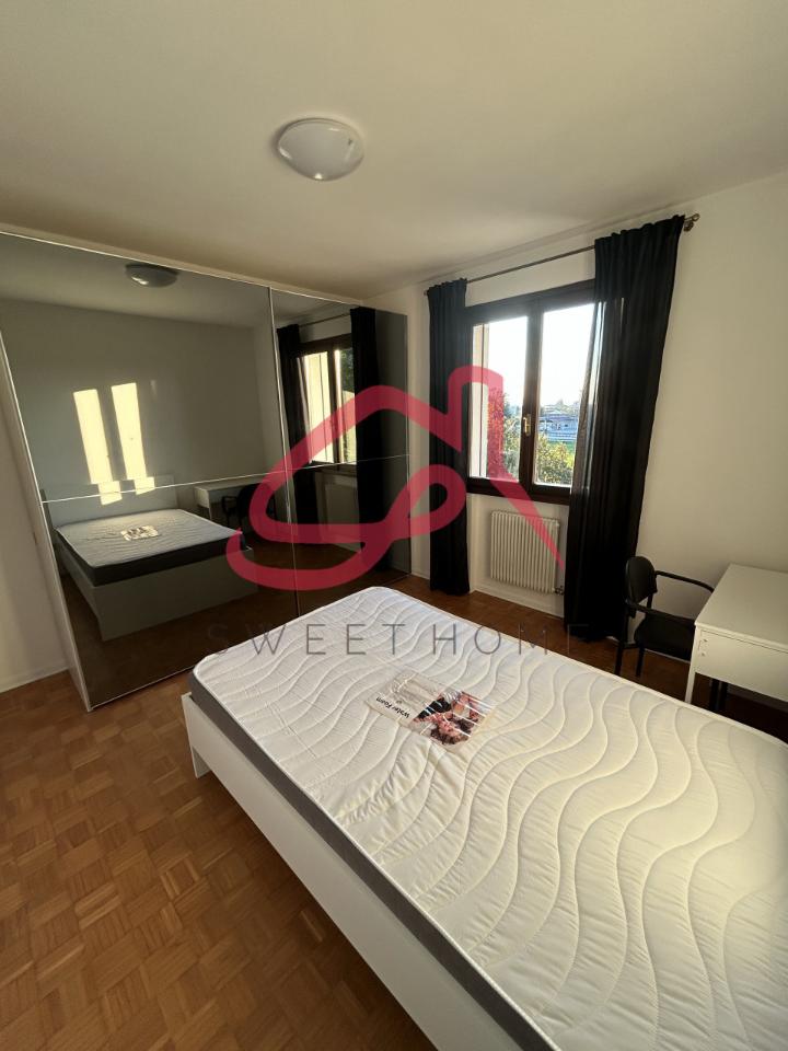 negozio in affitto a Padova