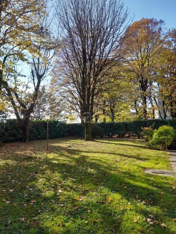 appartamento in affitto a Padova in zona Madonna Pellegrina