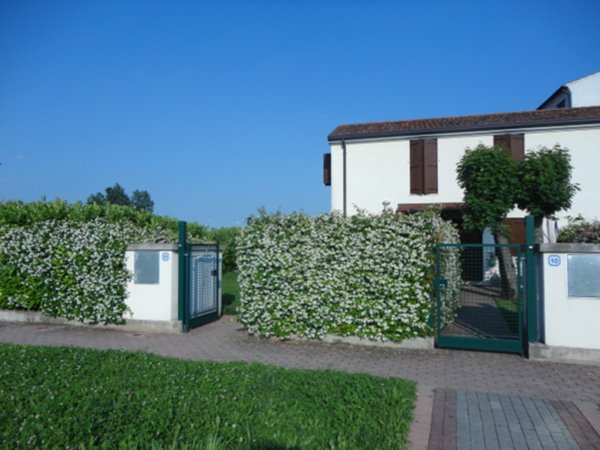 casa indipendente in affitto a Padova in zona Montà