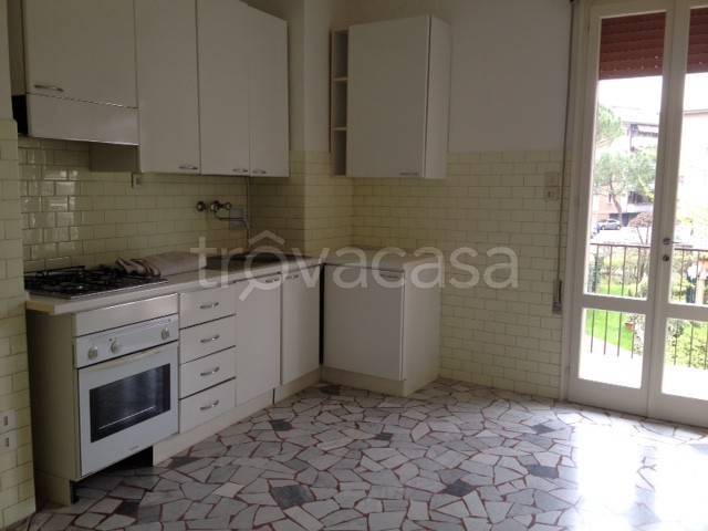 appartamento in affitto a Padova in zona Madonna Pellegrina