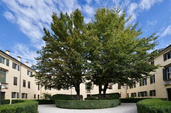 appartamento in affitto a Padova in zona Centro Storico