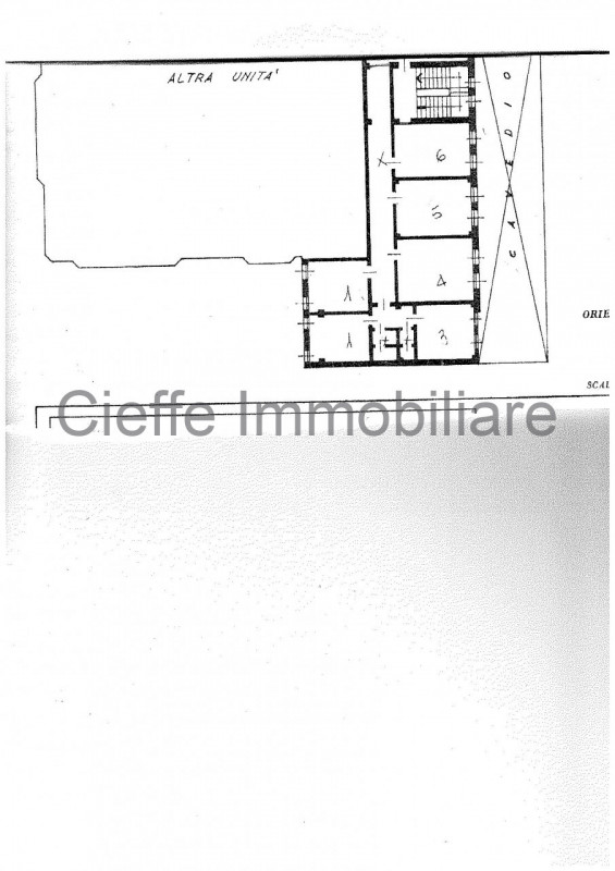 ufficio in affitto a Padova