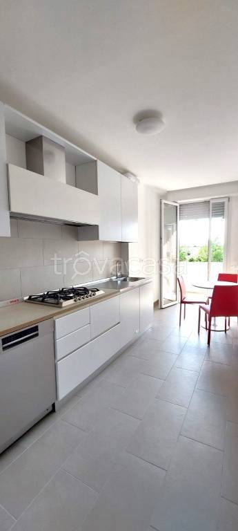 appartamento in affitto a Padova in zona San Giuseppe