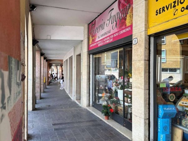 negozio in affitto a Padova in zona Savonarola