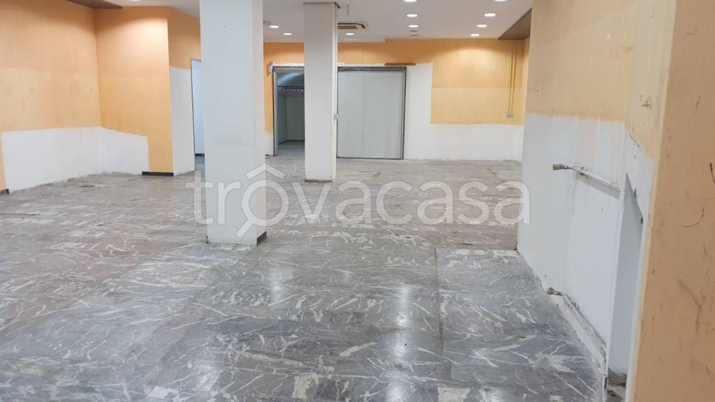 trivano in affitto a Padova