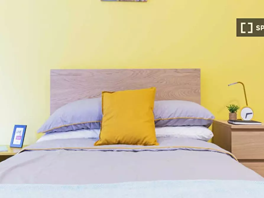 appartamento in affitto a Padova in zona San Carlo