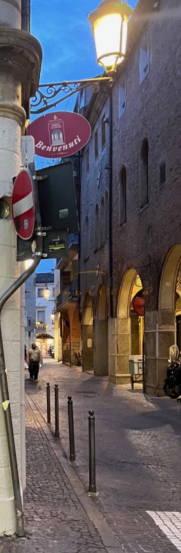 negozio in affitto a Padova in zona Savonarola