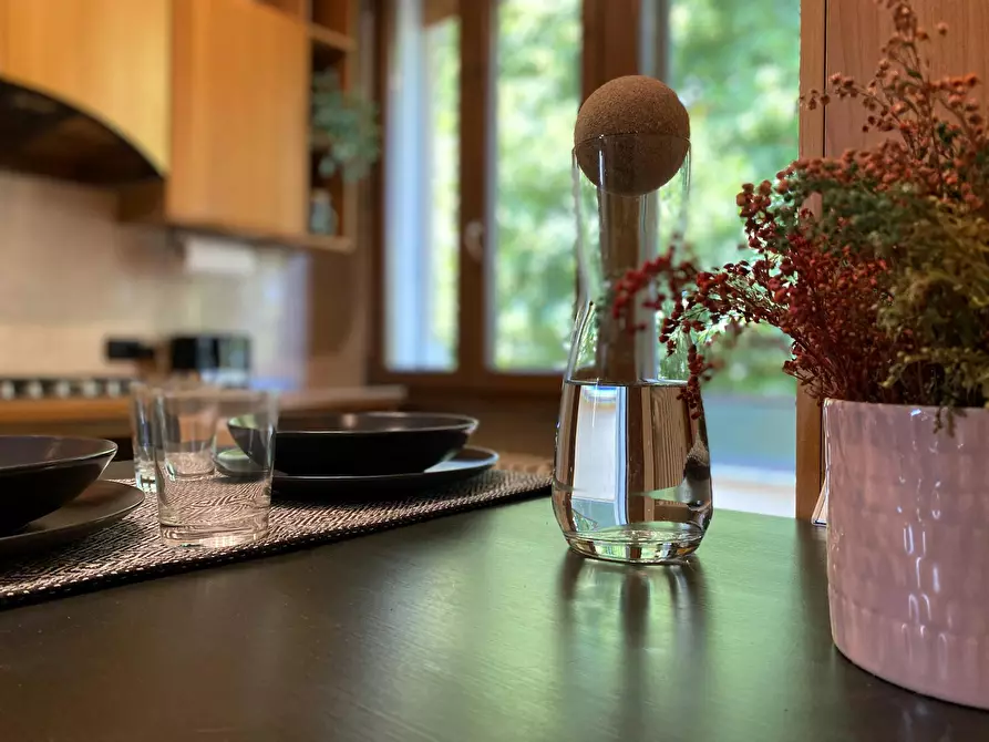 appartamento in affitto a Padova in zona San Bellino