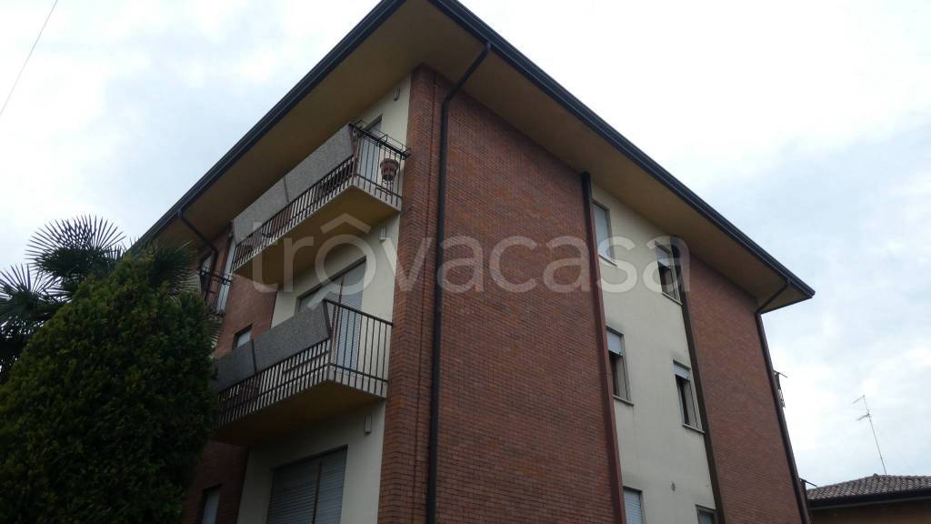 appartamento in affitto a Padova in zona Forcellini / Terranegra