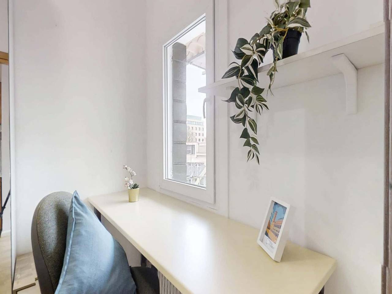 negozio in affitto a Padova in zona Stanga