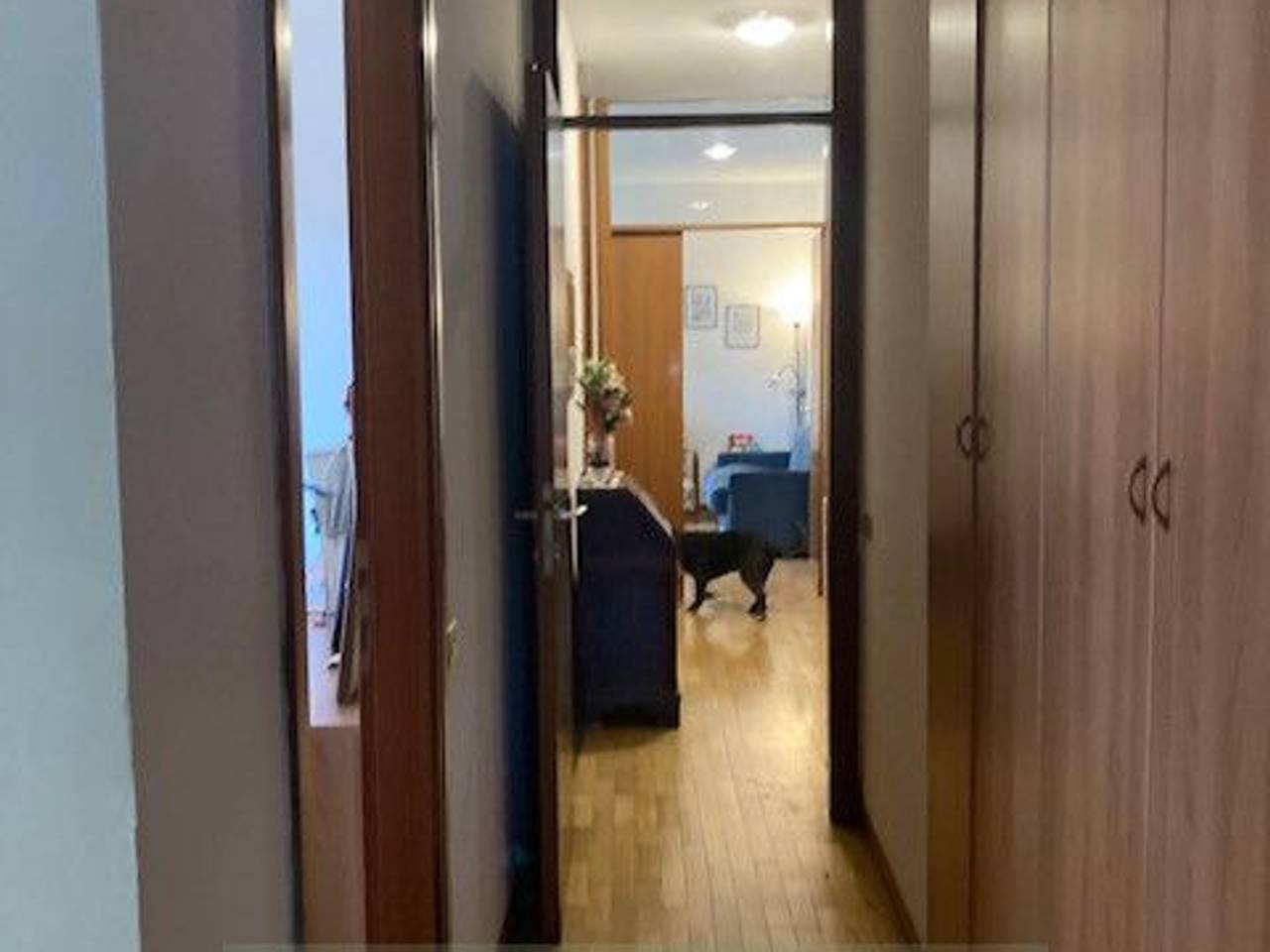 appartamento in affitto a Padova in zona Sant'Osvaldo / Santa Rita