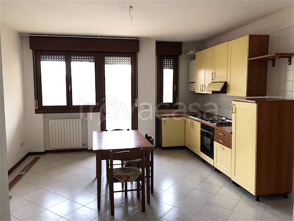 appartamento in affitto a Padova in zona San Bellino