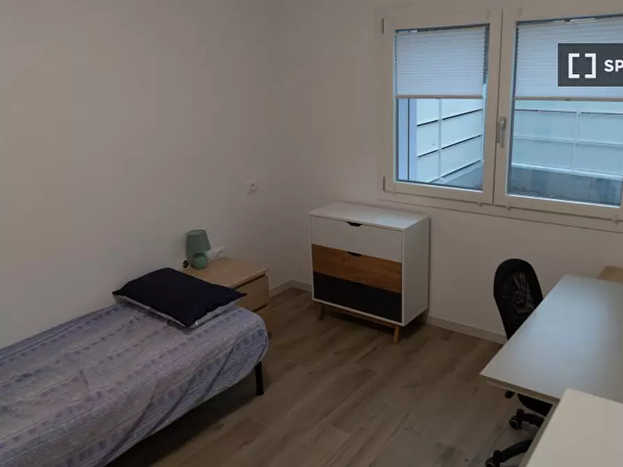 appartamento in affitto a Padova