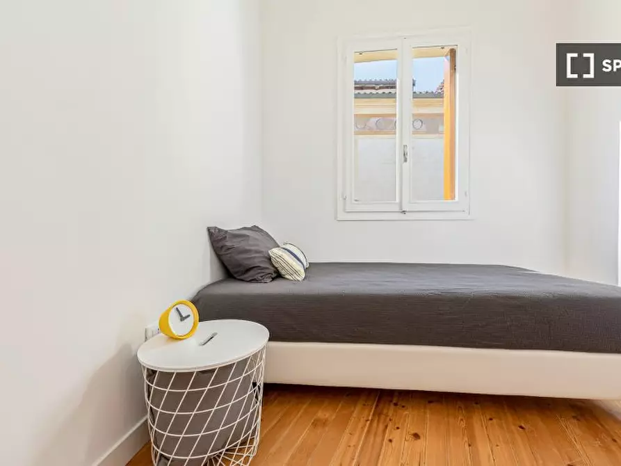 appartamento in affitto a Padova