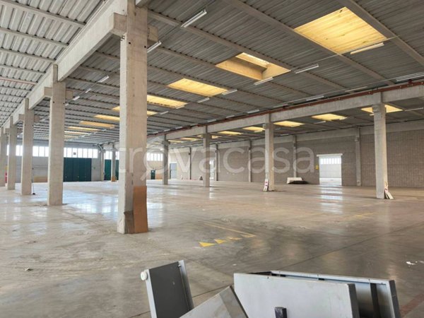 locale commerciale in affitto a Padova in zona Olmo