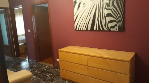 appartamento in affitto a Padova in zona Arcella