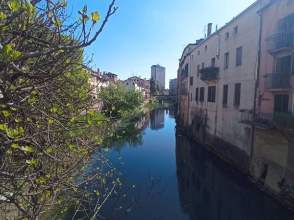 appartamento in affitto a Padova in zona Savonarola
