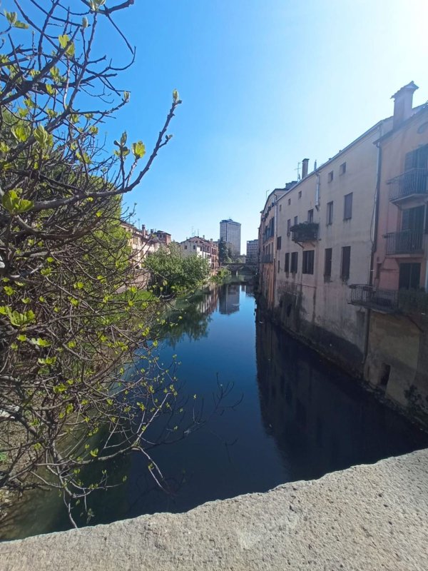 appartamento in affitto a Padova in zona Savonarola