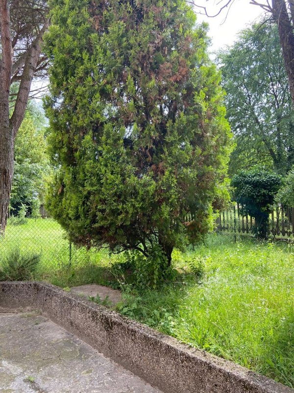 appartamento in affitto a Padova in zona San Giuseppe