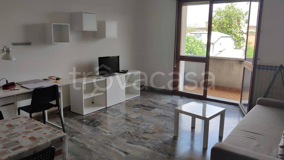 appartamento in affitto a Padova in zona Madonna Pellegrina