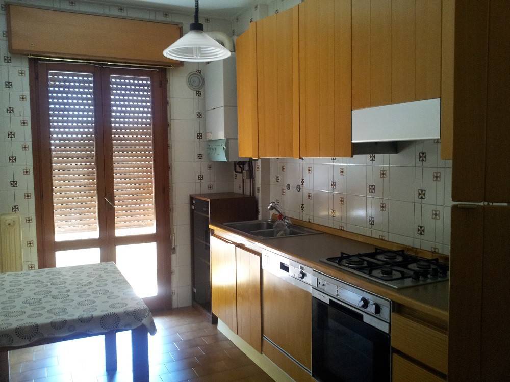 appartamento in affitto a Padova in zona Forcellini / Terranegra