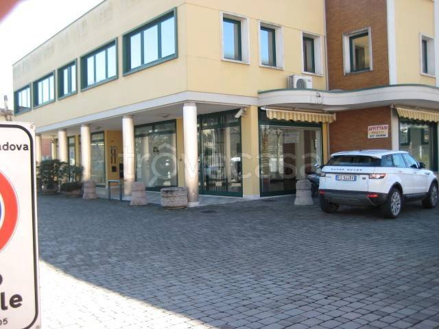 appartamento in affitto a Padova in zona Brentelle