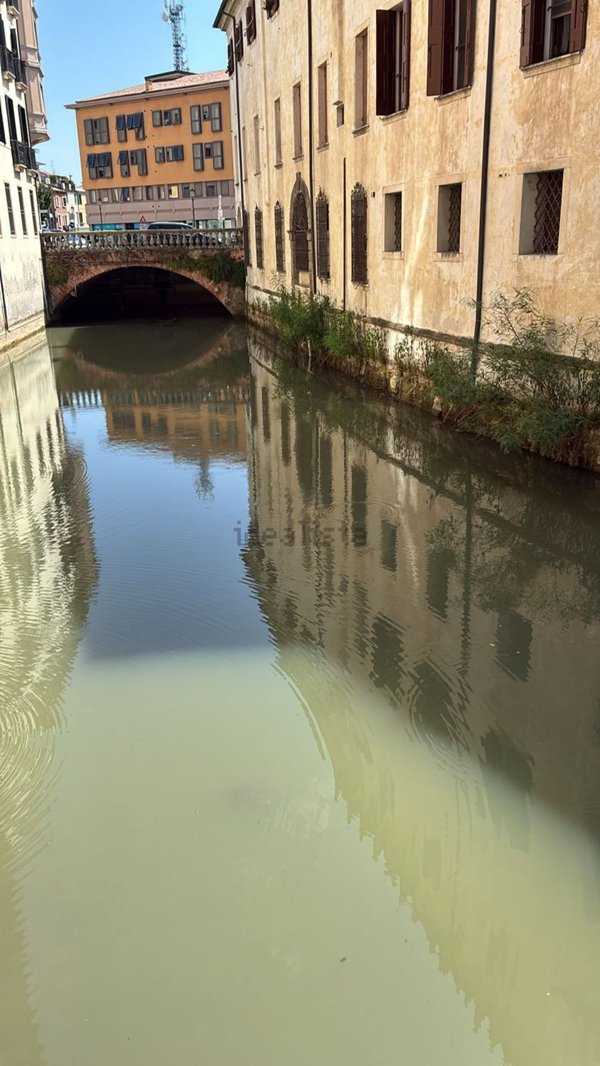 appartamento in affitto a Padova in zona Centro Storico