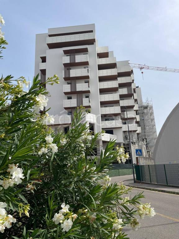 negozio in affitto a Padova in zona Porta Trento