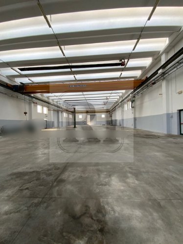 capannone in affitto a Piazzola sul Brenta