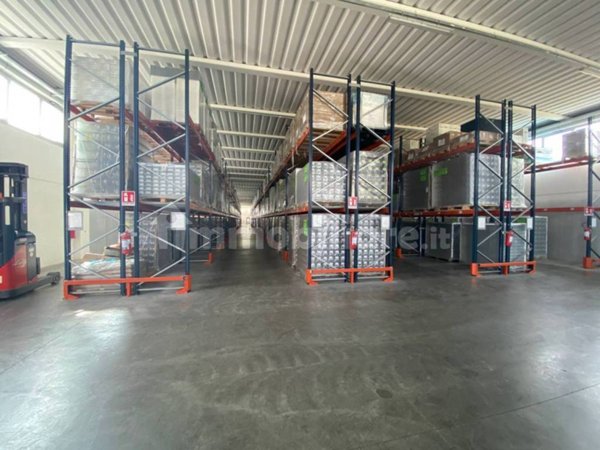 quadrivano in affitto a Piombino Dese