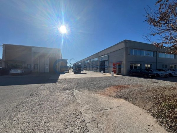 capannone in affitto a Piombino Dese