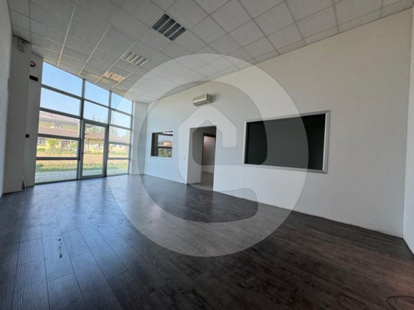 capannone in affitto a Piombino Dese