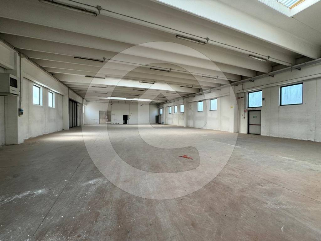 locale commerciale in affitto a Piombino Dese