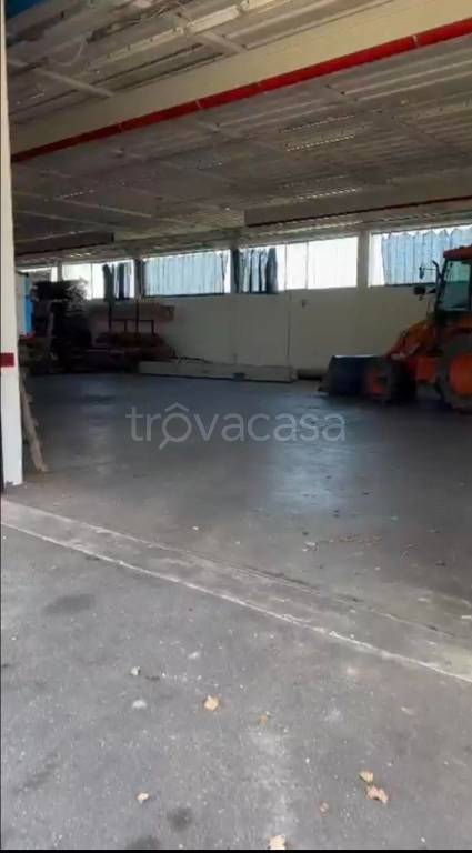 locale commerciale in affitto a Piombino Dese in zona Torreselle