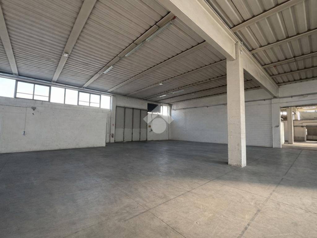 appartamento in affitto a Piombino Dese