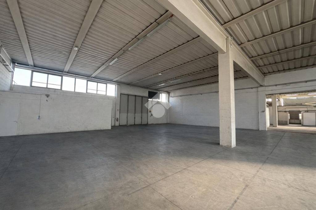 appartamento in affitto a Piombino Dese