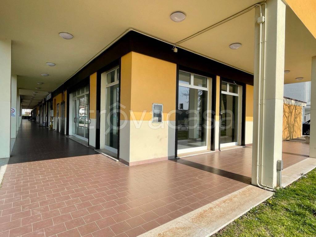 monolocale in affitto a Piove di Sacco