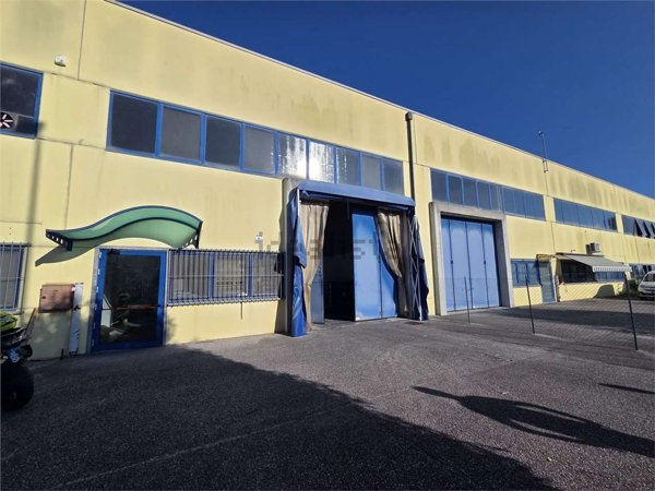 capannone in affitto a Piove di Sacco