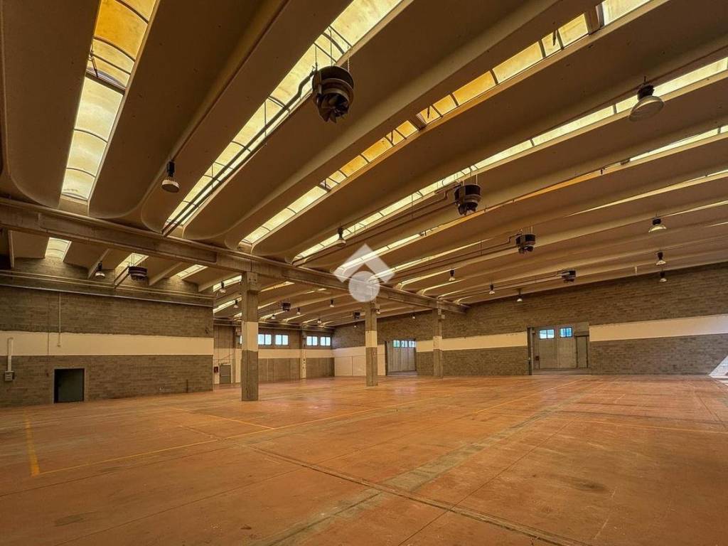 capannone in affitto a Piove di Sacco